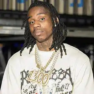 Picture for song 'Guitar (Polo G x Berner x Iann Dior Type Beat)' by artist 'whoislnp'