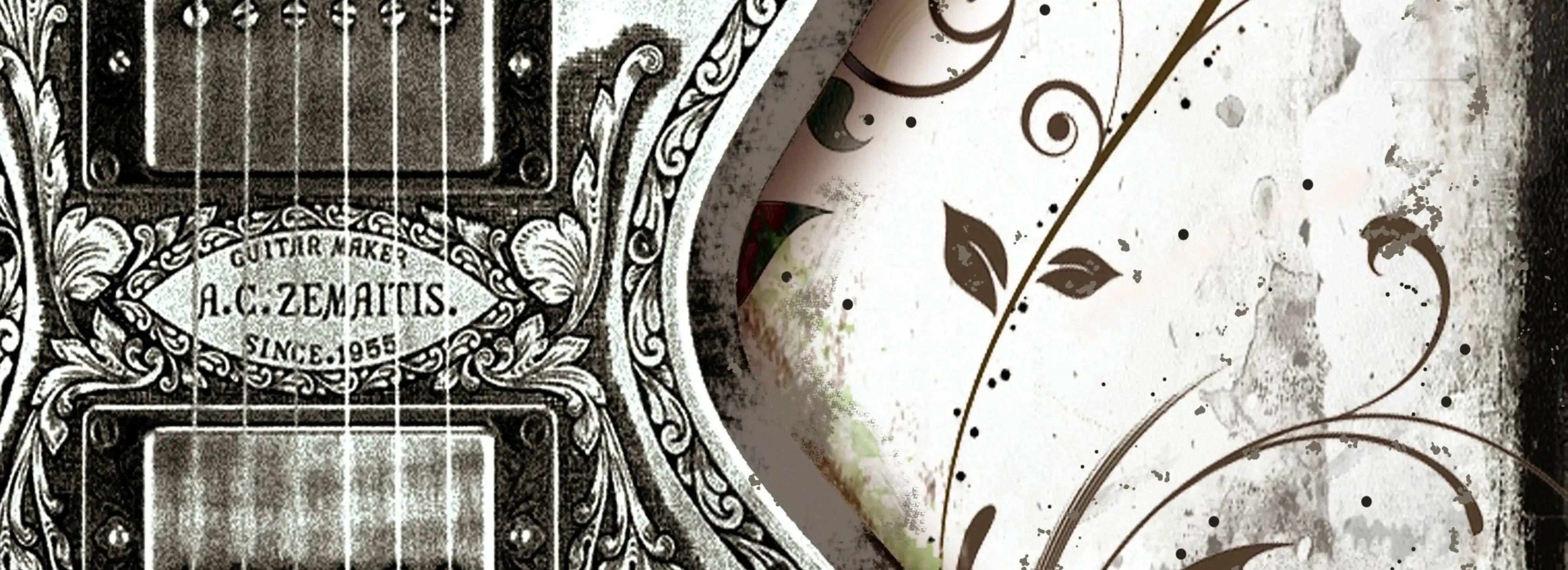 cover pic