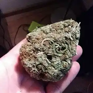 Picture for song 'On My Own_high_quality' by artist 'Coldheart'