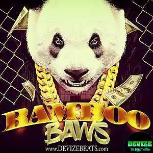 Picture for song 'Bamboo Baws - *Chart Topper*' by artist 'DEVIZE'