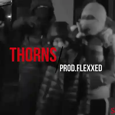 Picture for song '"THORNS" UK Drill Type Beat x NY Drill Type Beat' by artist 'neyoooo36'