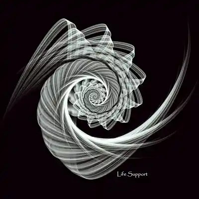 Picture for song 'Life Support' by artist 'Sean Ferree'