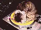 Picture for song 'stos 23 474060' by artist 'stos'