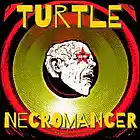 Picture for song 'DubSlop' by artist 'Turtle Necromancer'