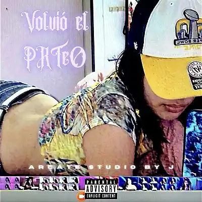 Picture for song 'VOLVI&Oacute; EL PRTeO' by artist 'Arcate Studio by J'