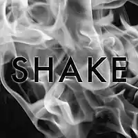 Picture for song 'SHAKE' by artist 'Bedford'