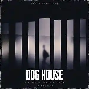 Picture for song 'DOG HOUSE (Jelly Roll X Yelawolf X Guitar Beat)' by artist 'Die Naum Production'
