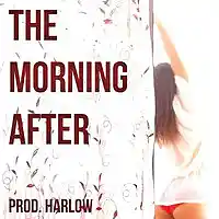 Picture for song 'The Morning After' by artist 'Harlow Beats'