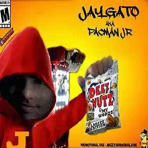 Picture for song 'IM A SKEEZER (REMAKE)' by artist 'JAYGATO'