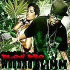 Picture for song 'Blow Dro MASTER' by artist 'LOWPROFILEENT.COM'