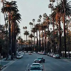 Picture for song 'HOLY' by artist 'Nick Vanelli'