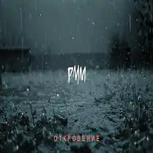 Picture for song 'PMM - Otkrovenie (Revelation)' by artist 'PMMBeats'