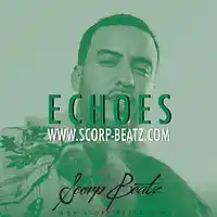 Picture for song 'SCORP BEATZ - ECHOES' by artist 'Scorp Beatz'