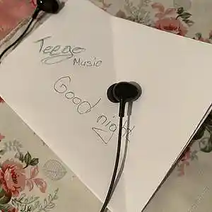 Picture for song 'Teegomuzik - Good night' by artist 'Teegomuzik'
