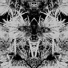 Picture for song 'Quid est veritas?(fragment)' by artist 'Terra Teratos'