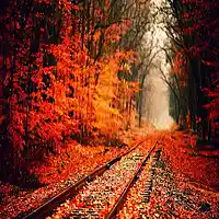 Picture for song 'November' by artist 'TIMERBOi BEATS'