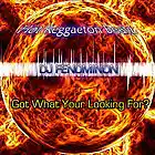 Picture for song '**New*Reggeaton**' by artist 'Fenominon'