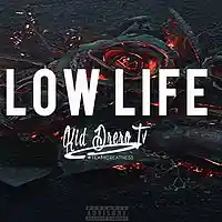 Picture for song '2CHAINZ X KAARIS TYPE BEAT *LOW LIFE*' by artist 'FLXME'