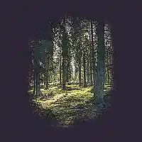 Picture for song 'The Woods' by artist 'Narcotiks'