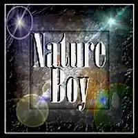 Picture for song 'Nature Boy (inst)' by artist 'Numi Who Creative Covers'