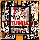 Picture for song 'Polka No Joka!' by artist 'Turtle Necromancer'