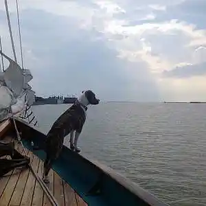 Picture for song 'La Mer' by artist 'Ucancallmeal'