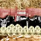 Picture for song 'As far as the eye can see' by artist 'Ceili Moss'