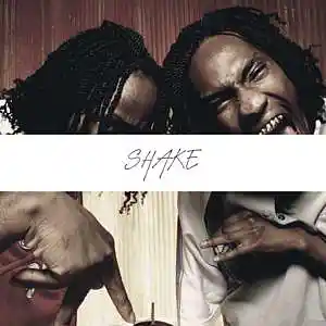 Picture for song 'Shake (Ying Yang Twins Type Beat) - Devezin.com' by artist 'Devezin'