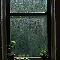 Picture for song 'coldplay's couzin' by artist 'MattTrauma'