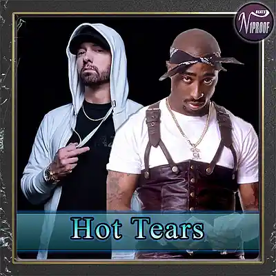 Picture for song 'Eminem x Tupac Type Beat Hot Tears' by artist 'N1PROOF BEATS'