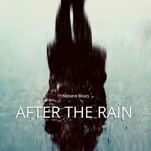 Picture for song 'After the Rain' by artist 'Netuno Beats'