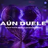 Picture for song 'AUN DUELE' by artist 'PINAREZ ON THE BEATZ'