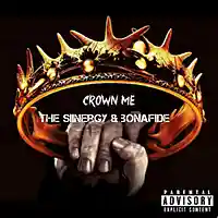 Picture for song 'Crown Me * TI * FREE DL' by artist 'The Siinergy'