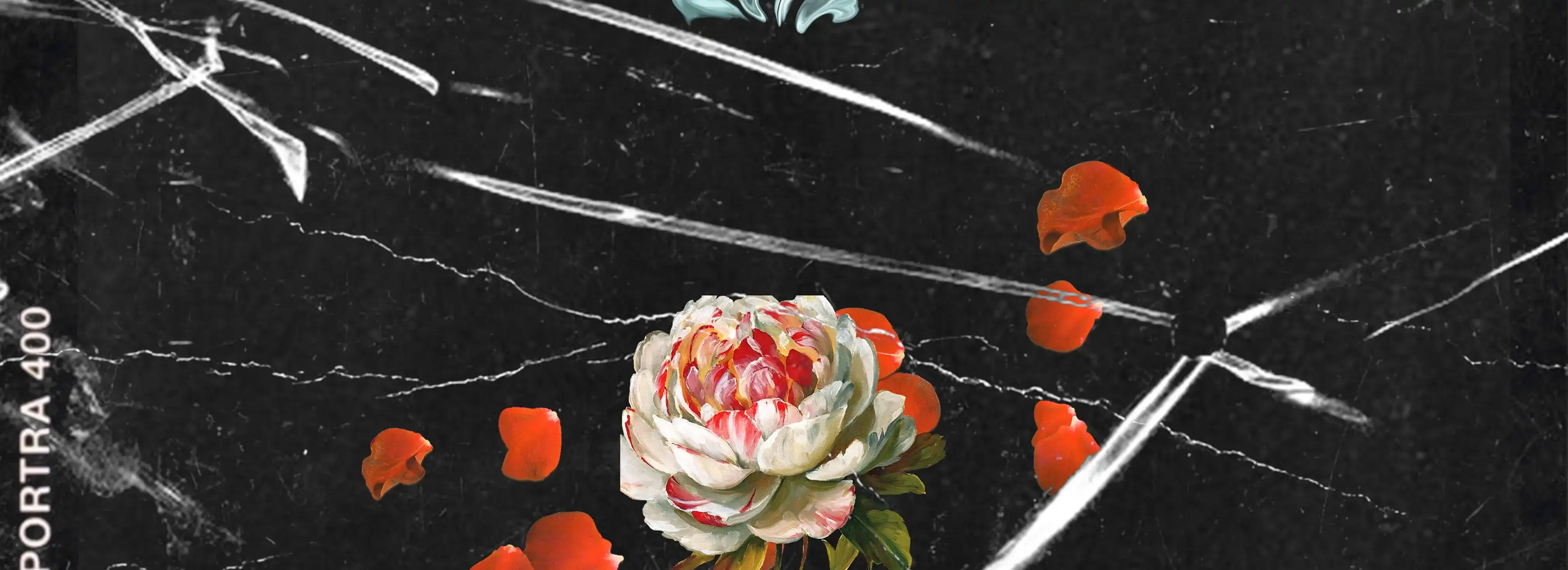 cover pic