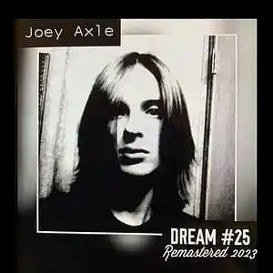 Picture for song 'Anything For You' by artist 'Joey Axle and The Hydraulics'