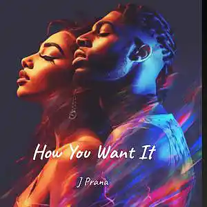 Picture for song 'How You Want It (Uptempo R&B Type Beat)' by artist 'J Prana'