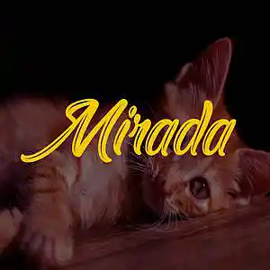 Picture for song 'Mirada' by artist 'Songr Beats'