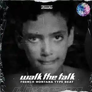 Picture for song 'Walk The Talk' by artist 'Dimsho Beats'