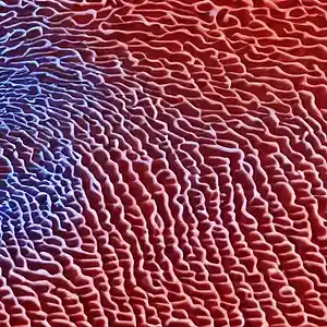 Picture for song 'Quantum foam' by artist 'eka'