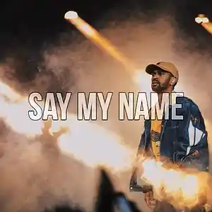 Picture for song 'Say My Name | Free Download' by artist 'Frankenstein Beats'