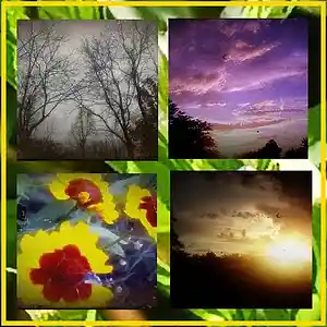 Picture for song 'GRN Music - Sound 12' by artist 'Greg R. Norton'