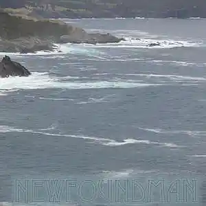 Picture for song 'Back Against the Wall' by artist 'Levi Deiter'