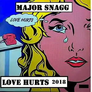 Picture for song 'Love Hurts (instrumental 2018)' by artist 'Major Snagg'
