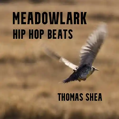 Picture for song 'A Little Peculiar' by artist 'Thomas Shea - Hip Hop'