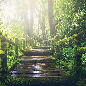 Picture for song 'Fresh' by artist 'AcrylicBeats'