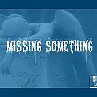 Picture for song 'Missin Something (BUY UNTAGGED BELOW)' by artist 'Bama Got Bangerz'