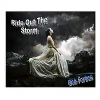 Picture for song 'Ride Out The Storm' by artist 'Bob Forbes'
