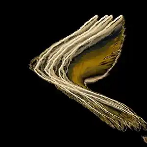 Picture for song 'Du willst ein Kind von Rosalinde' by artist 'Cosmic Tones 432Hz'