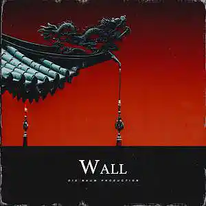 Picture for song 'WALL (Boom Bap X China Underground 90s Beat)' by artist 'Die Naum Production'