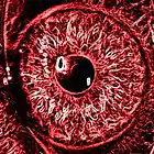 Picture for song 'Behind Green Eyes ip' by artist 'Faces of Doom'